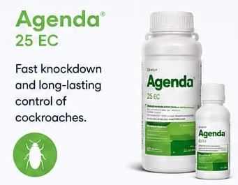 AGENDA 25 EC