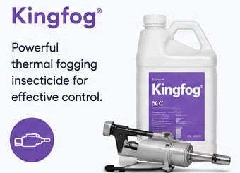 KINGFOG
